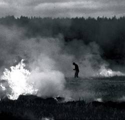 Northern Discipline : Burn-Beaten Soil
